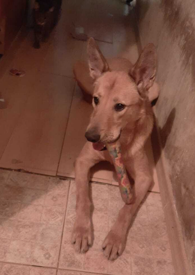    :3      ,        .            ))       :)