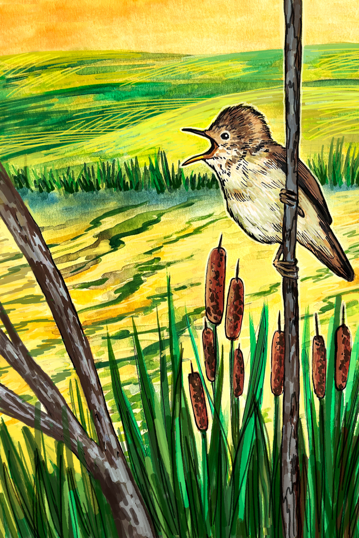 ������������� ��� ���������