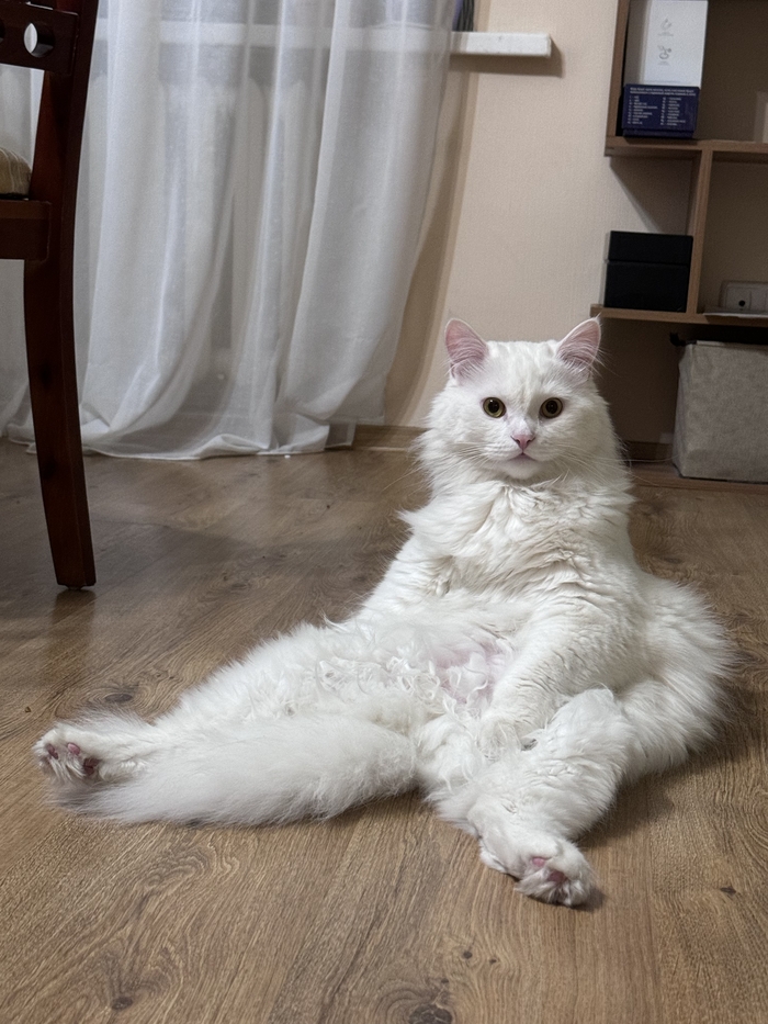 ��� � ���������