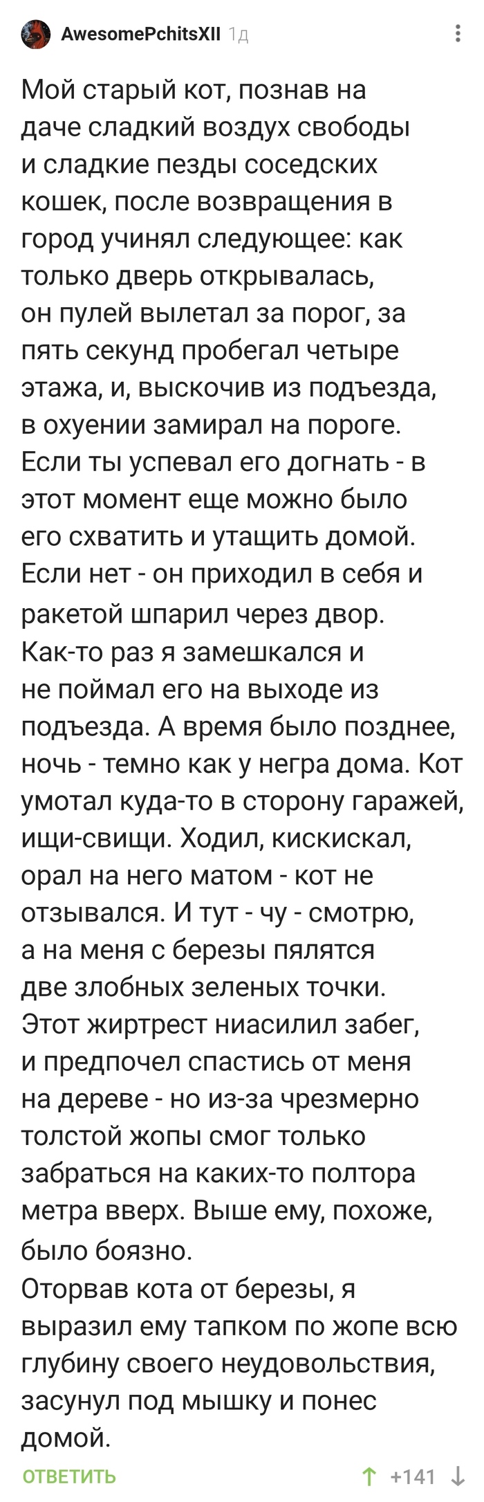 Кошачий побег!