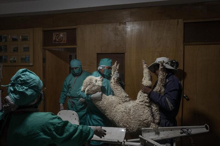 ФОТОГРАФИЯ АЛЕССАНДРО ЧИНКВЕ.