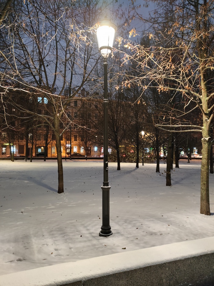 Наконец то выпал снег