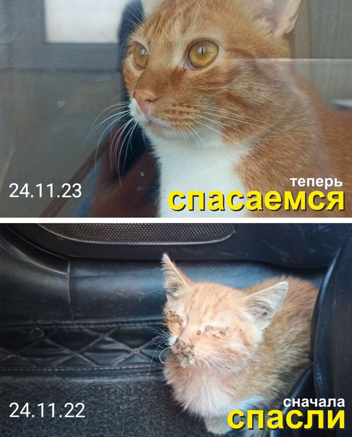 ������� �����... ��� ������ )