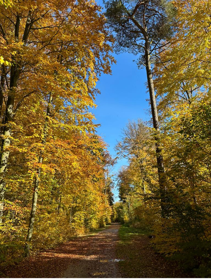 Жизнь в Польше (часть 2 - город Лодзь) Жизнь за границей, Польша, Европа, Эмиграция, Переезд, Длиннопост Жизнь в Польше (часть 2 - город Лодзь) Жизнь за границей, Польша, Европа, Эмиграция, Переезд, Длиннопост