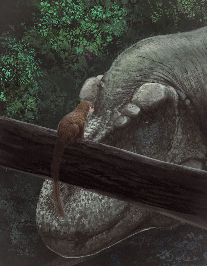Пургаториус и Тираннозавр Динозавры, Млекопитающие, Тираннозавр, Палеоарт, Палеонтология, Картинки