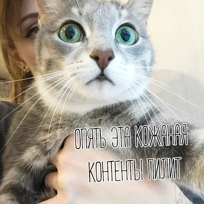    .       ,  ,   .. ,     .  