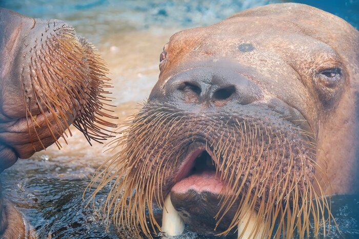 Делятся впечатлениями после посещения барбершопа