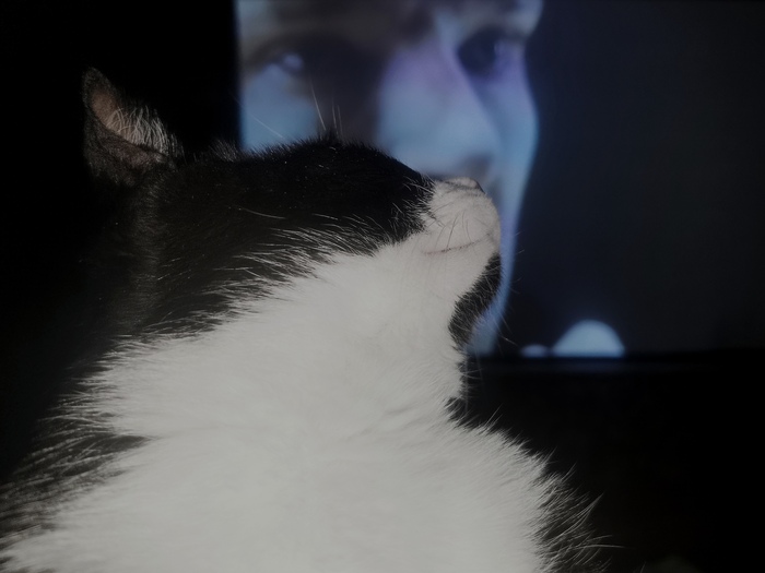 ������ �����