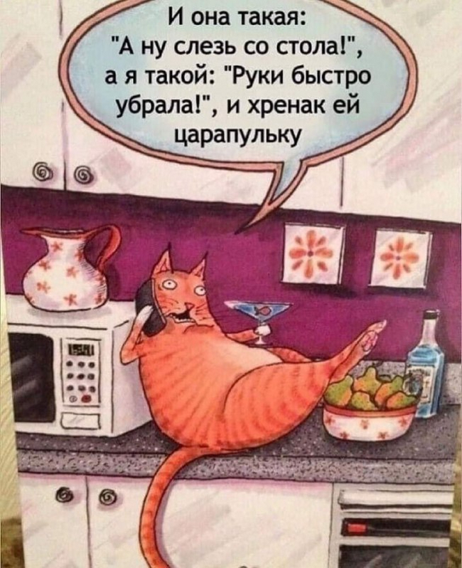 Хозяин в доме | Пикабу