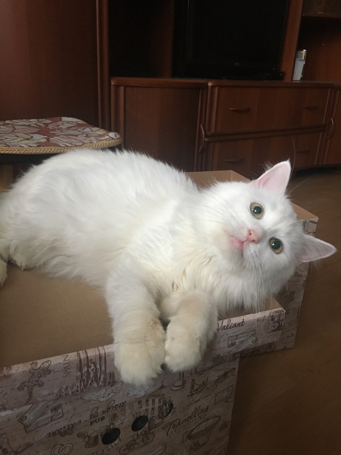 Прям сама фотогиеничность