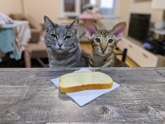 Два дебила это сила, мозгов нет зато красиво