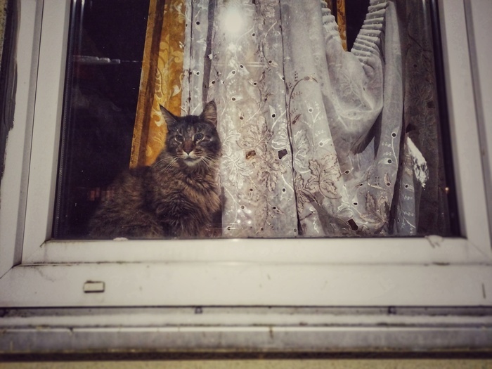 Почему-то его назвали Кафель