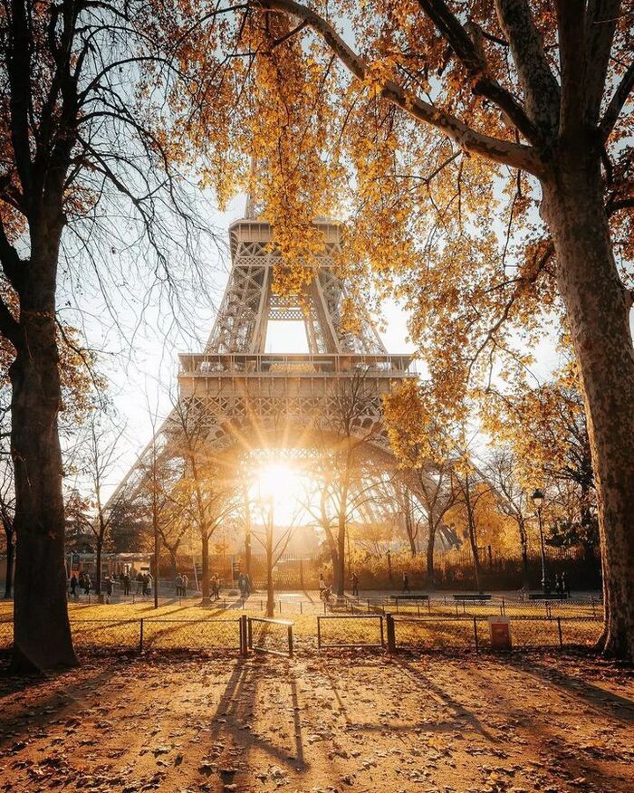 �������� �����