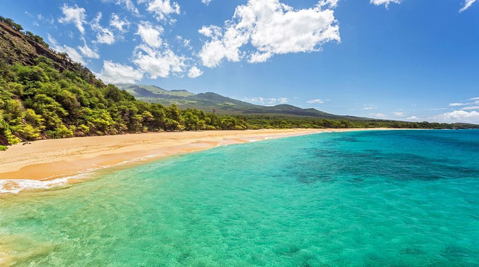 ������: ����������� ��� � ������ ������ ������