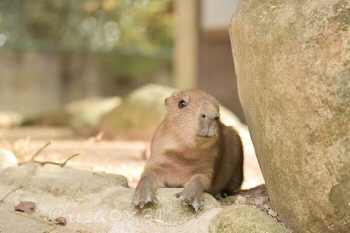 �������