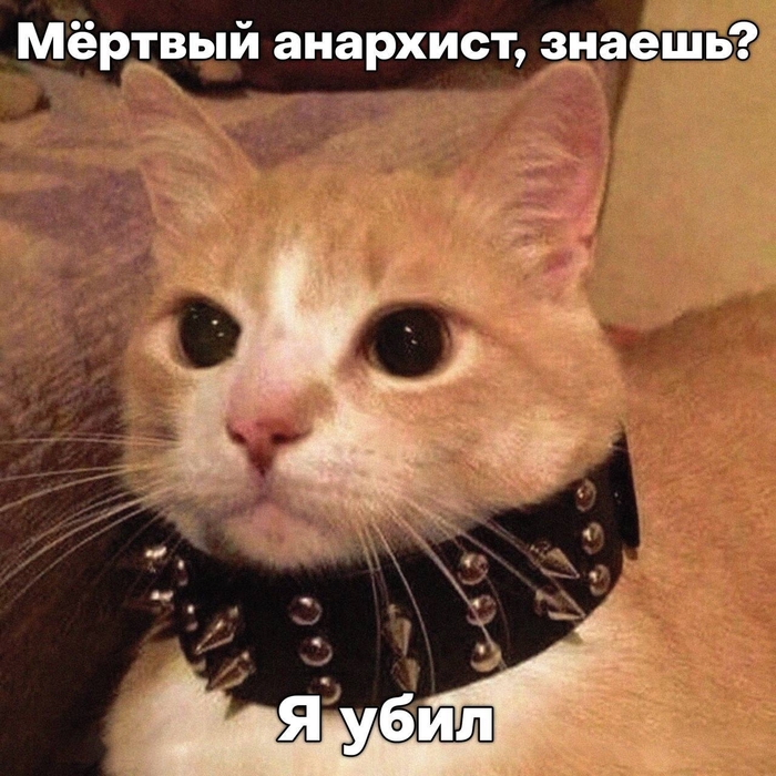 ̸����� ��������