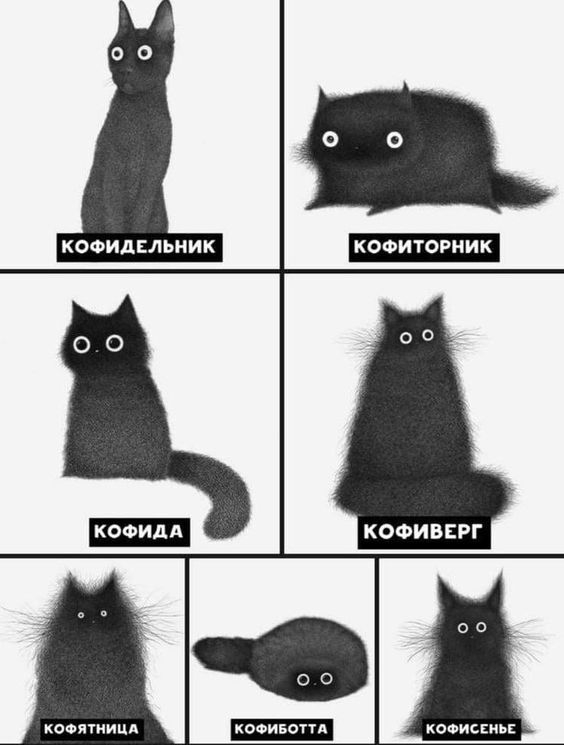 � ����� � ��� ������� ����?