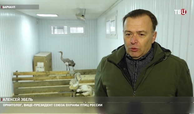 Алексей Эбель в Барнаульском зоопарке на фоне спасенных фламинго