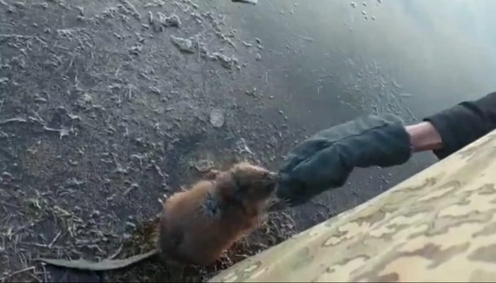 �������