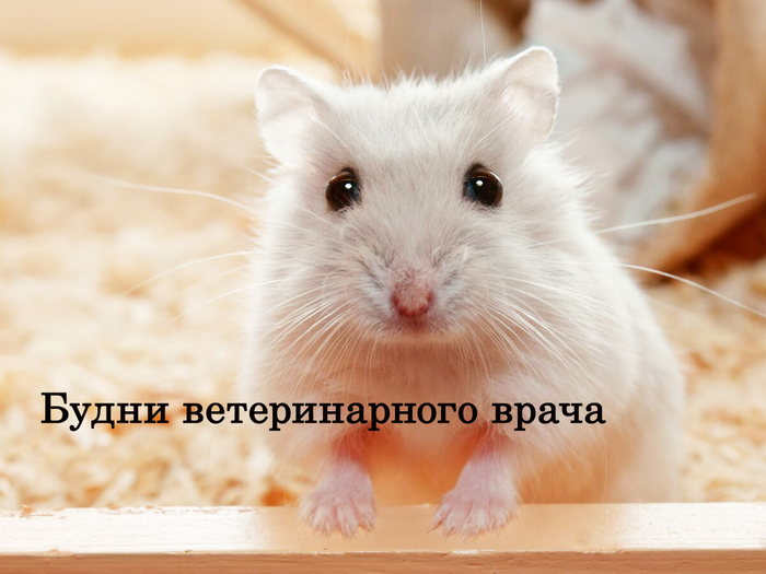    (    ) , , , 
