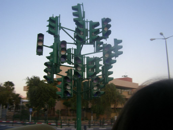 ��������)