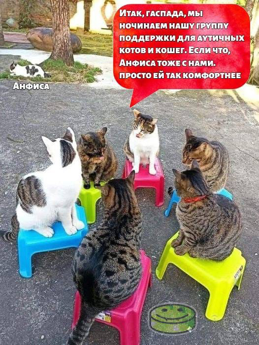 ��� �� ������� ������