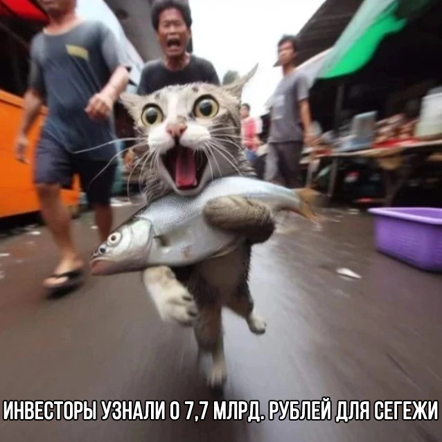      29   ,   ,  , , 
