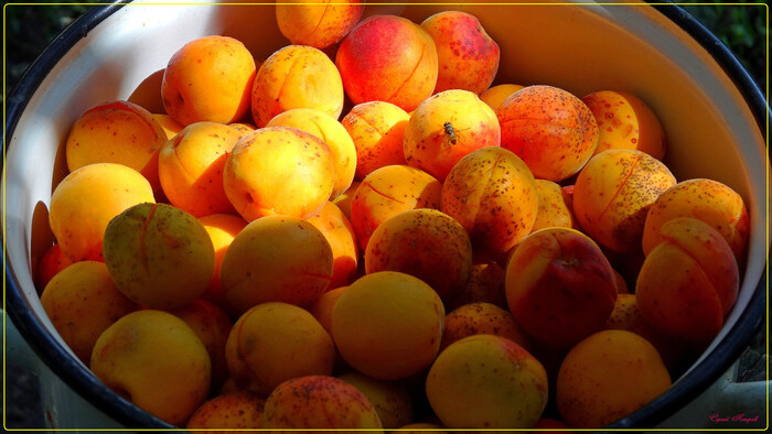 ��������...������� ����� � ����