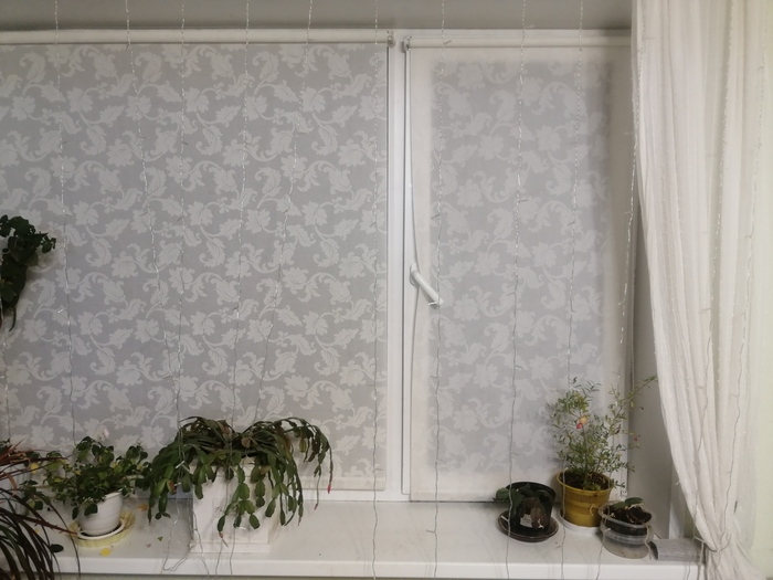 Окна почти закрыты. Ручки не трогались неделе две наверное.