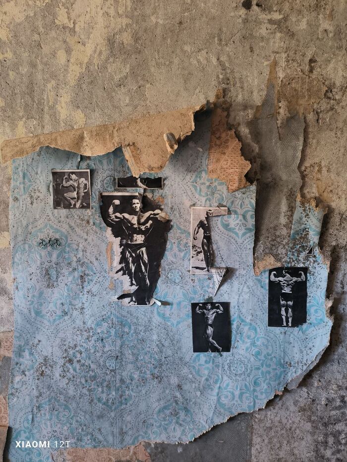 �������� ��������������