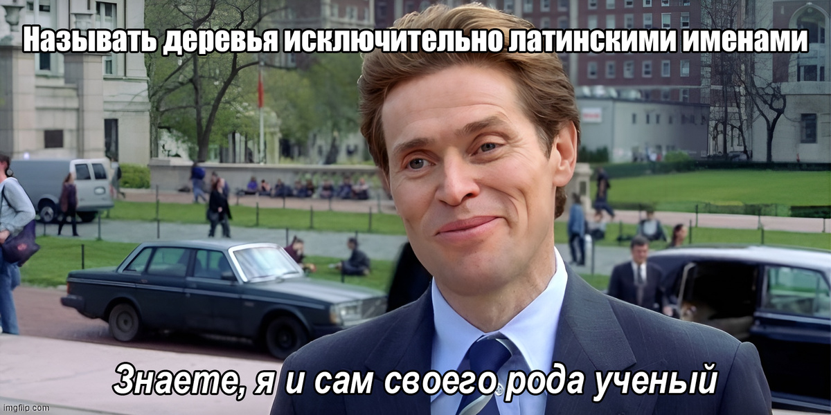В какой то степени