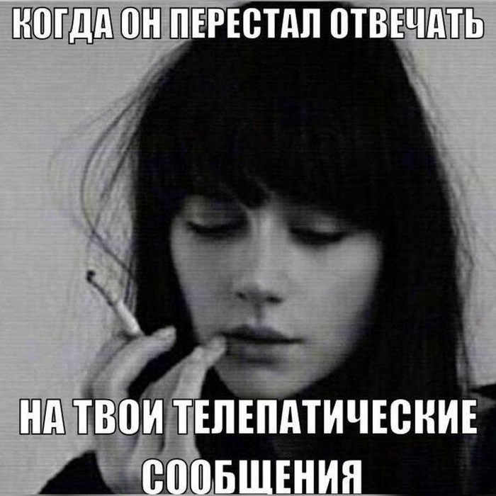       , Telegram (),   