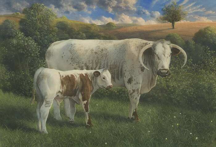     (1992, , 43,8 64,8 )