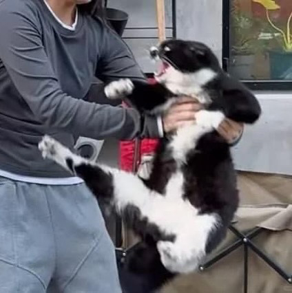 Пусти меня, я ему втащу