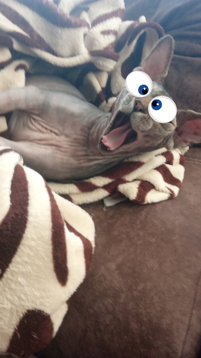   , ,  