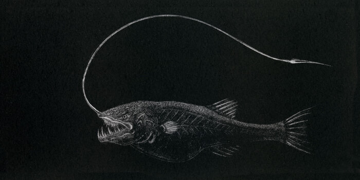 Источник: <!--noindex--><a href="https://pikabu.ru/story/kakoe_samoe_strashnoe_nechto_uvidennoe_v_okeane_imeet_fotograficheskoe_podtverzhdenie_10876207?u=http%3A%2F%2Fdebbymason.com%2Fcatalogues%2FMyWork%2Fgraphics%2Fproducts%2Fhigh%2FWhipnose.jpg&t=debbymason.com%2Fcatalogues%2FMyWork%2Fgraphics%2Fproducts%2Fhi...&h=13b43375579d6945bd9ecbb1b515be1af63b24c5" title="http://debbymason.com/catalogues/MyWork/graphics/products/high/Whipnose.jpg" target="_blank" rel="nofollow noopener">debbymason.com/catalogues/MyWork/graphics/products/hi...</a><!--/noindex-->