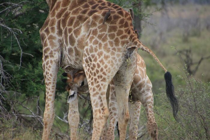  ,      ,   , ,  2023