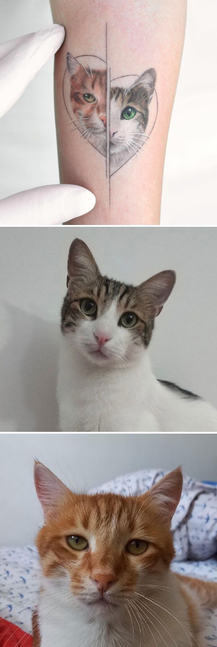     , , , 