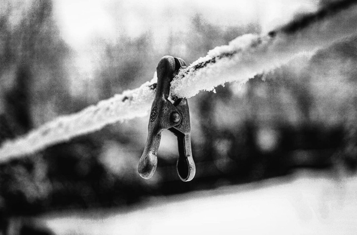 Зимняя прищепка