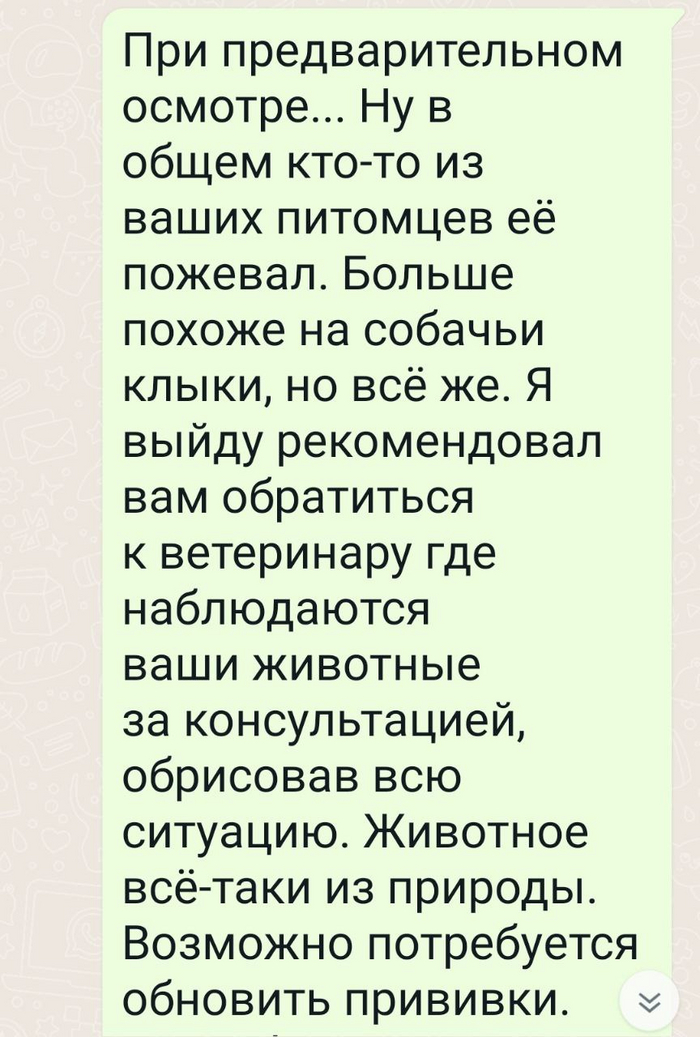 Уж простите за ошибки, Т9 иногда чудит.
