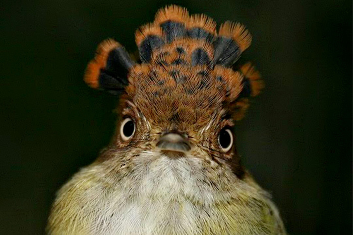  -.     ,    ""   , , 