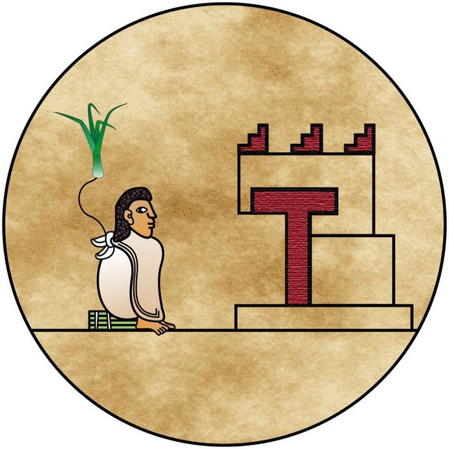 Дядя Порей на своей делянке.