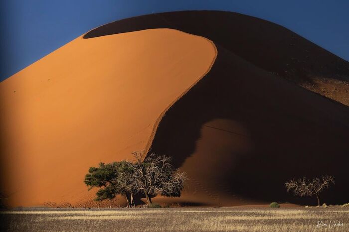 Танцующие дюны