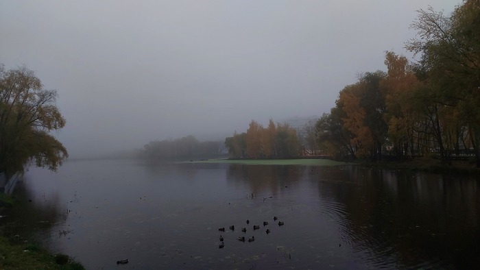 Нагатинский затон осенью
