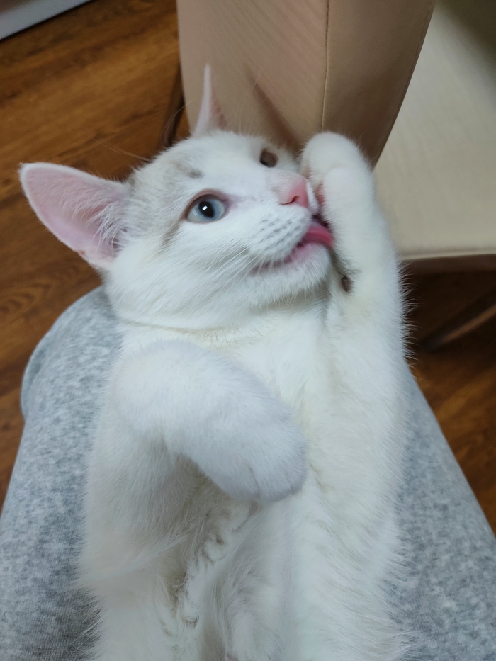   ! , , , , ,  ,  ,  ,  