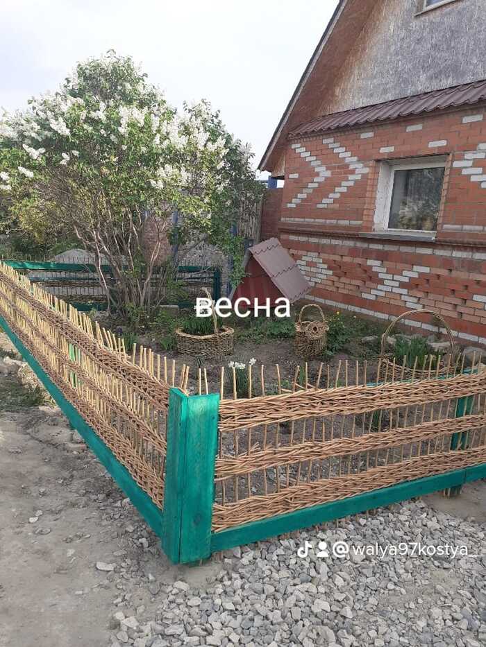 ����� ������� ���������.