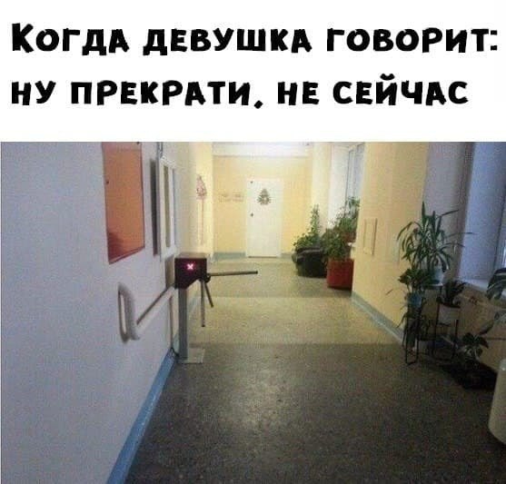  , Telegram (),   