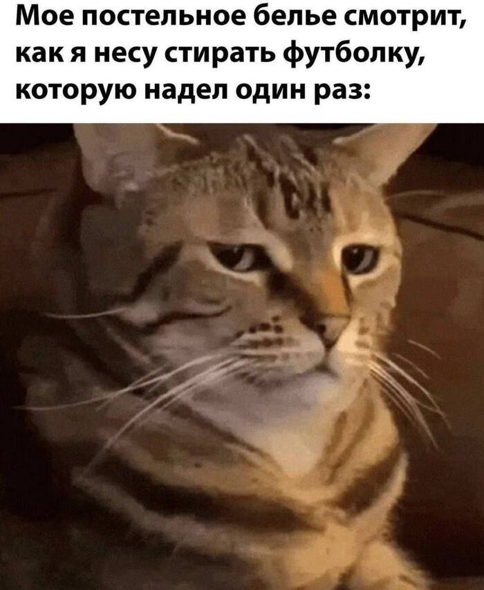 Так и есть )