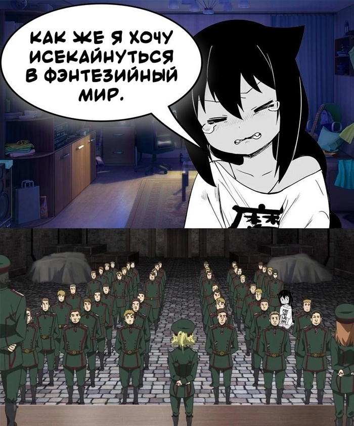 ----------------------------------