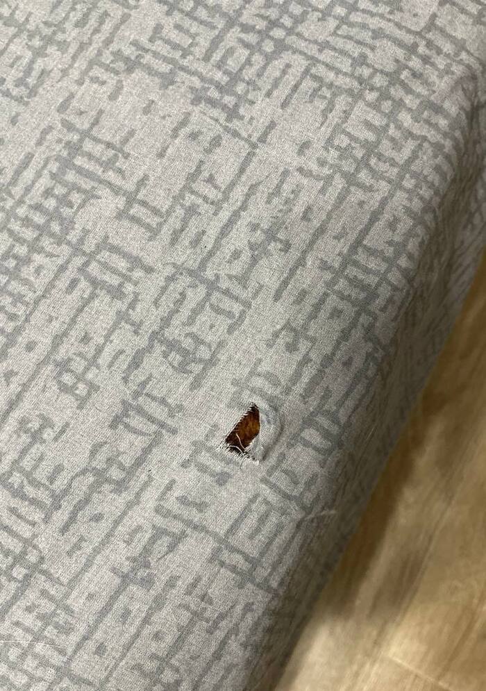 �� ��������� ���� � �����������-�������������� ������� ���� ����������� �����.